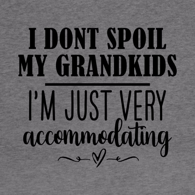 Funny Grandma Shirt, I Dont Spoil My Grandkids, Im Just Very Accommodating, Nana Tee, Gifts for Grandma by Y2KSZN